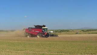 2016 Custom Wheat Harvest in Texas and Oklahoma [upl. by Seitz]