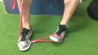 Anterior Tibialis resistance band exercise [upl. by Grube13]