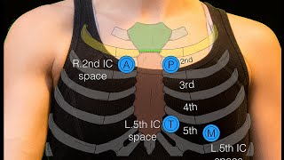 Sternal angle [upl. by Emeline]