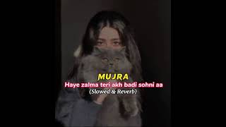 Mujra Haye Zalma Teri akh Badi sohni aa Slow REVERB [upl. by Ireva]