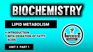 Beta Oxidation Of Fatty Acids  Lipid Metabolism  Biochemistry  B Pharma 2nd Semester [upl. by Isbel]