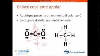 Tipos de enlace covalente [upl. by Zubkoff]