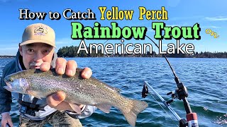 Kokanee  Rainbow Trout  Yellow Perch Fishing  American Lake [upl. by Nylodnew]