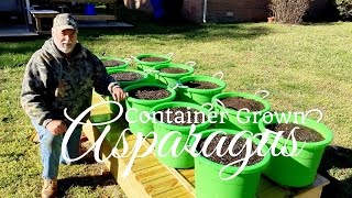 How To Grow Asparagus in Containers Part 1 of 3 [upl. by Lotte47]