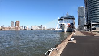 Walking in Rotterdam  Kop van Zuid 🌞  The Netherlands  4K60 [upl. by Oech869]