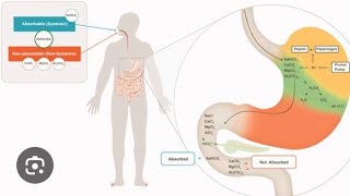 Gastro intestinal agents  Acidifying agents  Antacids  Aluminium hydroxide gel pharmacist ncert [upl. by Sina777]