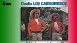 Dueto Los Carboneros  Mi Guanajuato querido Corrido [upl. by Epp982]