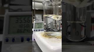 Crystallization of the mixture of lauric acid and myristic acid [upl. by Lime408]