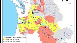 Columbia River Basin Salmon Extirpation Map [upl. by Arod]