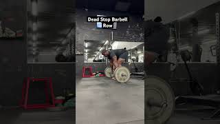 Dead Stop Barbell Row  Back Workout backday barbellrows [upl. by Van917]