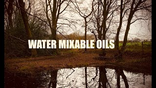 Plein Air Painting  Water Mixable Oils [upl. by Aland]