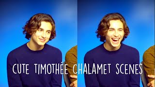 Timothée Chalamet scenes hd [upl. by Airdnax]