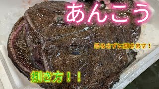 魚の捌き方あんこう捌き方！吊るさなくても捌けます [upl. by Huskey]