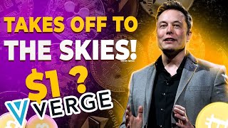 Verge guaranteed price prediction 2021 Elon Musk likes and buys XVG news 2021 [upl. by Ellinad]