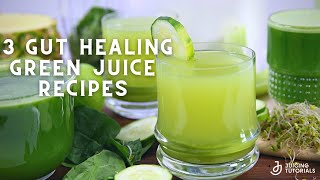 3 Green Juice Recipes for Gut Health [upl. by Ayoral934]