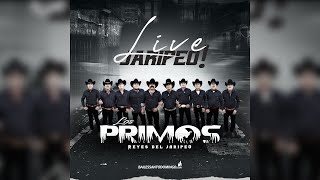 Los Primos De Illescas  Nunca En Domingo Live Jaripeo [upl. by Tini]