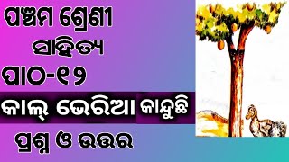 Class5 Mil Chapter12 Calvaria Kanduchhi Odia Medium Sahitya Questions Answers [upl. by D'Arcy]