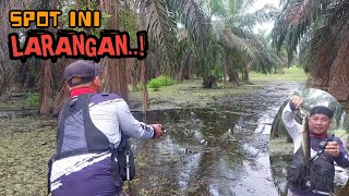 GAWAT SPOT INI SELAIN EXTREME TERNYATA LARANGAN  PANTAS IKANNYA GAK HABISHABIS [upl. by Shinberg]