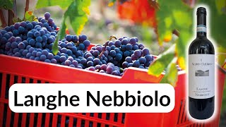 The quotBABY BAROLOquot tasting a LANGHE NEBBIOLO from Aldo Clerico [upl. by Oravla925]