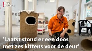 Dierenasiels zitten zo vol dat ze geen nieuwe katten meer toelaten  RTV Utrecht [upl. by Rebane694]