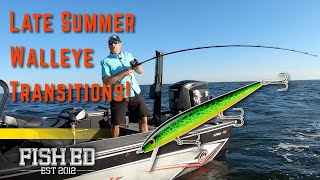 How to Find amp Catch Late Summer Transition Walleye  Fish Ed [upl. by Rebna]