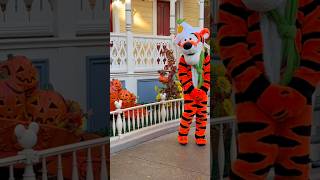 Tigger meet and greet Disneyland Paris dlp tigger disneymeetandgreet [upl. by Lenoil]