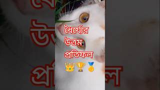 Waz🏆viralvideo shorswaz islamic foryou trending [upl. by Beesley75]