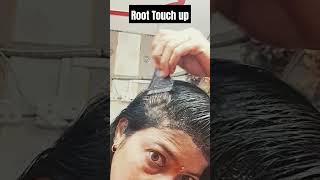 Root Touch up heena Heene mehandi😊grey hair roots hair Color light medium blonde [upl. by Mitman]