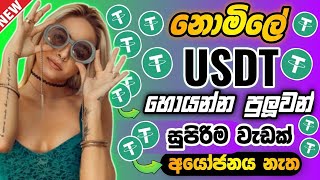 How to earn free usdt coinUsdt investment site 2024Earn money online sinhalaUsdt mining site [upl. by Pauline292]