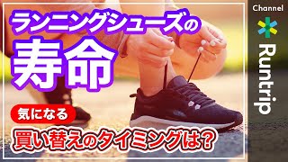 ランニングシューズの寿命をシューズアドバイザーが解説！気になる買い替えのタイミングは？【ランニングシューズQampA】 [upl. by Nyvets]