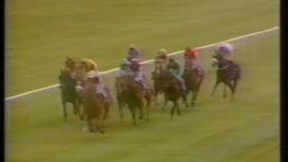 1993 AirlieCoolmore Irish 2000 Guineas [upl. by Maloney]