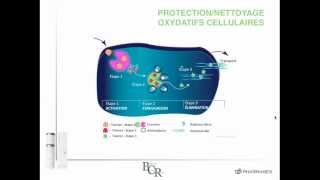 Pharmanex la quotThéoriequot par Flo [upl. by Atirak]