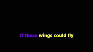 Birdy Wings Karaoke [upl. by Nattirb]