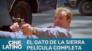 El gato de la sierra  Película completa  Cinelatino [upl. by Urbain]