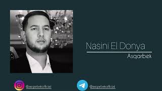 Asqarbek  Nasini El Donya  Official Cover Music [upl. by Airolg838]