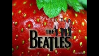 Strawberry Fields Forever [upl. by Briana]