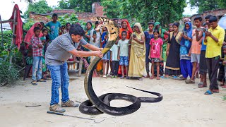 ज़हरीले नाग ने किया जानलेवा हमला  झाड़फूक के चक्कर में चली गई जान  Cobra Snake attacked Guddu G [upl. by Iamhaj]