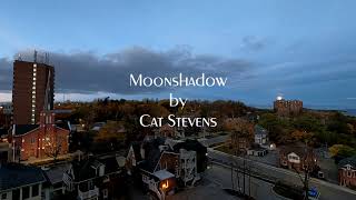 Moonshadow by Cat Stevens [upl. by Nitram]