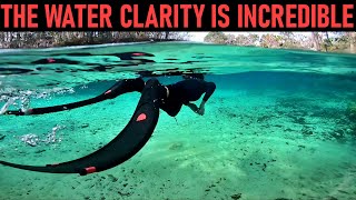 Free Diving beautiful natural springs in Florida [upl. by Sitelc]