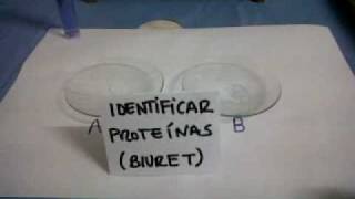 Reacción de biuret para proteínas [upl. by Ahsinawt]