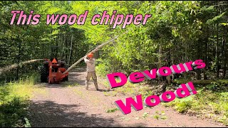 Wallenstein BX42 Wood Chipper  Devours Wood 🚜 [upl. by Adnerb]