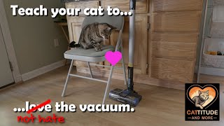 How to teach your cat to not hate the vacuum cleaner [upl. by Ela262]