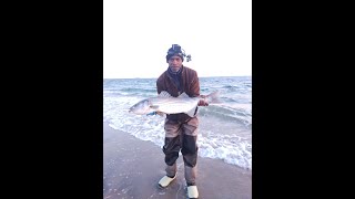 Striped Bass Fishing  Caught 2 Beautiful Bass  05132024 [upl. by Vite]