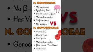 Neisseria Meningitidis Vs Neisseria Gonorrhoeae 🔬 gonorrhea meningitis bacteriology [upl. by Frederica]