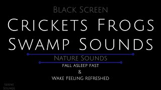 10 Hours  Swamp Sounds  Crickets and Frogs  Cricket Sounds  Cricket Sounds for Sleeping  Frogs [upl. by Aliuqat848]