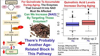 Grape Seed Proanthocyanidins Increase NAD [upl. by Einahpad]