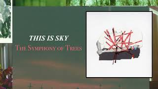 This Is Sky  The Symphony of Trees [upl. by Kcirttap]