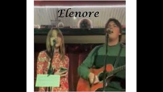 Turtles  Elenore Cover  The Bluebirds [upl. by Aikehs]