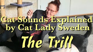 Cat Sounds Explained The Trill [upl. by Rior]