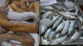 Marsaxlokk  Life in a Maltese Fishing Village [upl. by Caylor717]